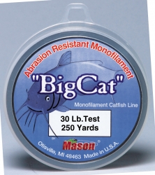 detail_84_BigCat.jpg
